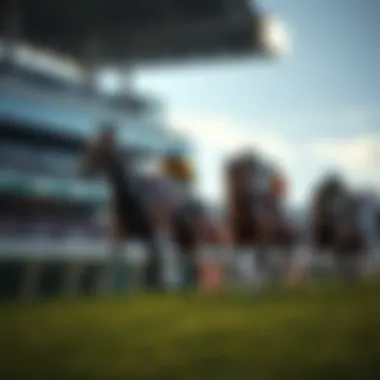 Screenshots of practical applications of the API in betting