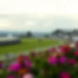 Iconic Cheltenham racecourse view