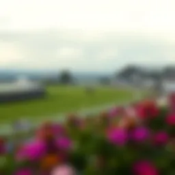 Iconic Cheltenham racecourse view