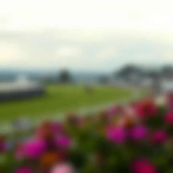 Iconic Cheltenham racecourse view