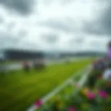 Spectacular view of the Cheltenham Racecourse during a major event