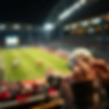 Expert Tips for Novice Bettors Expert tips for novice bettors