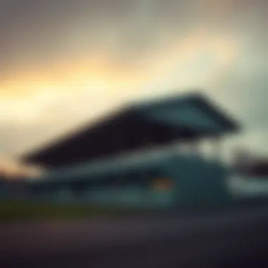 Impact on Betting Markets The significance of Dog House Megaways in betting markets