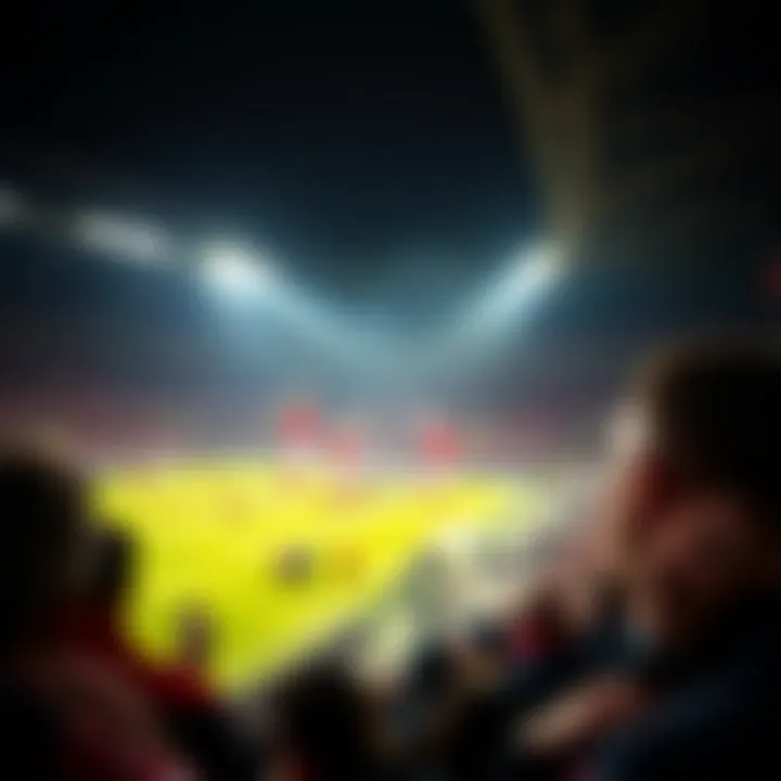 Fan culture in Dordrecht football