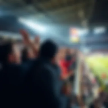 Fans cheering in the stands at a football match