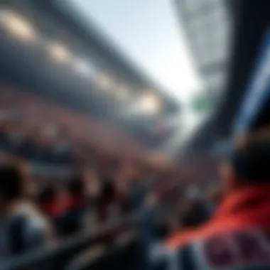 Stadium filled with cheering fans