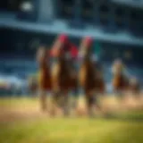 Thoroughbred horse racing action captured during the event