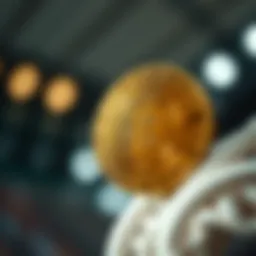 Comprehensive overview of TotoBit functionalities